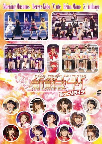 【中古】Hello！Project　2011　WINTER〜歓迎新鮮まつり〜Bっくりライブ [DVD]