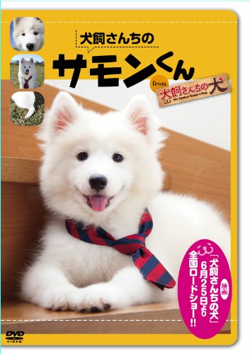 【中古】犬飼さんちのサモンくん from 「犬飼さんちの犬」 【DVD】