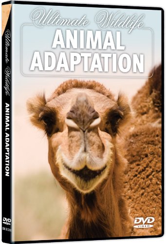 【中古】Ultimate Wildlife: Animal Adaptation [DVD]