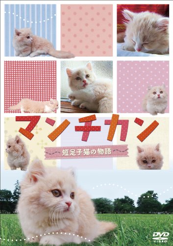 By Title: Ta Line - 【中古】マンチカン 〜短足子猫の物語〜 [DVD]