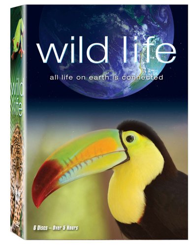 【中古】Wild Life [DVD]
