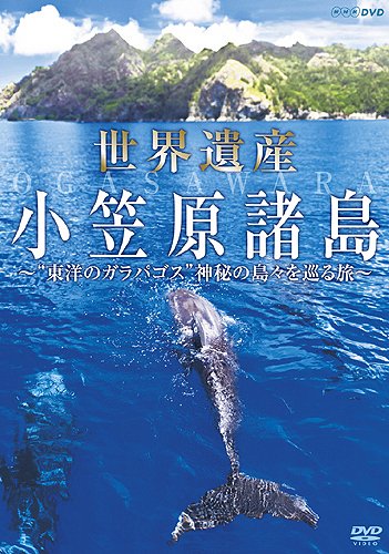 ご来店ありがとうございます。昭和・平成のCD、DVD、家電、音響機器など希少な商品も多数そろえています。レコード、楽器の取り扱いはございません。掲載していない商品もお探しいたします。映像商品にはタイトル最後に[DVD]、[Blu-ray]と表記しています。表記ないものはCDとなります。お気軽にメールにてお問い合わせください。世界遺産 小笠原諸島 東洋のガラパゴス神秘の島々を巡る旅 [DVD]【メーカー名】竹緒【メーカー型番】【ブランド名】竹緒【商品説明】世界遺産 小笠原諸島 東洋のガラパゴス神秘の島々を巡る旅 [DVD]・中古品（ユーズド品）について商品画像はイメージです。中古という特性上、使用に影響ない程度の使用感・経年劣化（傷、汚れなど）がある場合がございます。商品のコンディション、付属品の有無については入荷の度異なります。また、中古品の特性上、ギフトには適しておりません。商品名に『初回』、『限定』、『〇〇付き』等の記載がございましても、特典・付属品・保証等は原則付属しておりません。付属品や消耗品に保証はございません。当店では初期不良に限り、商品到着から7日間は返品を受付けております。注文後の購入者様都合によるキャンセル・返品はお受けしていません。他モールでも併売している商品の為、完売の際は在庫確保できない場合がございます。ご注文からお届けまで1、ご注文⇒ご注文は24時間受け付けております。2、注文確認⇒ご注文後、当店から注文確認メールを送信します。3、在庫確認⇒新品、新古品：3-5日程度でお届け。※中古品は受注後に、再検品、メンテナンス等により、お届けまで3日-10日営業日程度とお考え下さい。米海外倉庫から取り寄せの商品については発送の場合は3週間程度かかる場合がございます。　※離島、北海道、九州、沖縄は遅れる場合がございます。予めご了承下さい。※配送業者、発送方法は選択できません。お電話でのお問合せは少人数で運営の為受け付けておりませんので、メールにてお問合せお願い致します。お客様都合によるご注文後のキャンセル・返品はお受けしておりませんのでご了承下さい。