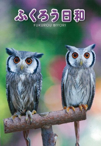 【中古】ふくろう日和 [DVD]