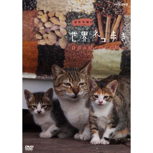 【中古】岩合光昭の世界ネコ歩き　モロッコ・マラケシュ　DVD【NHKスクエア限定商品】