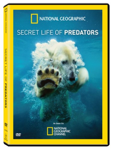 【中古】Secret Life of Predators [DVD]