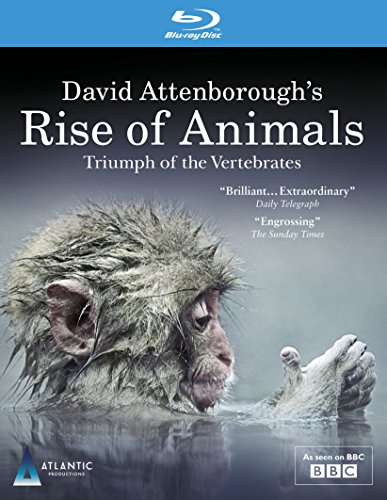 【中古】David Attenboroughs Rise of Animals: Triumph of the Vertebrates [Blu-ray]