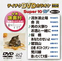 【中古】テイチクDVDカラオケ スーパー10W(462)