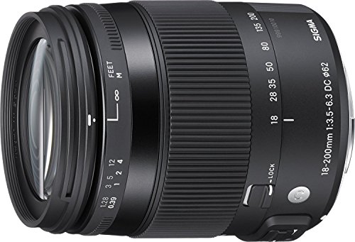 šSIGMA 18-200mm F3.5-6.3 DC MACRO HSM | Contemporary C014 | Sony A...