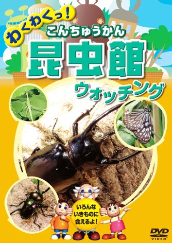 【中古】昆虫館 こんちゅうかん ウォッチング KID-1404 [DVD]