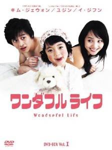 【中古】ワンダフルライフ　[レンタル落ち] (全9巻) [マーケットプレイスDVDセット商品]