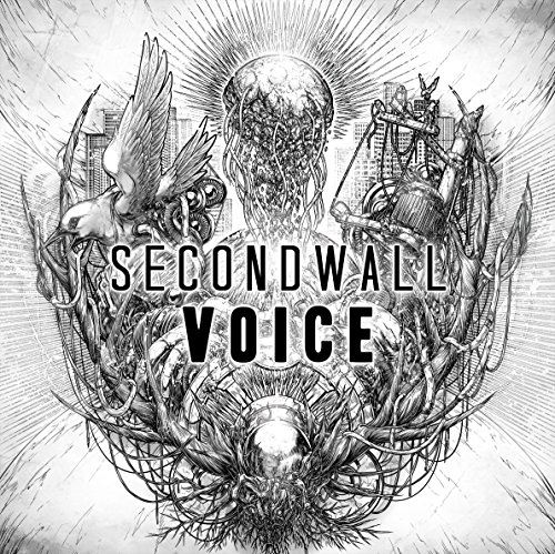 ����š�Voice