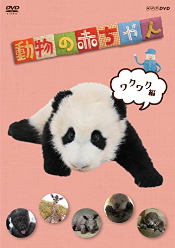 中古NHKDVD 動物の赤ちゃん ワクワク編