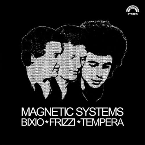 【中古】Magnetic Systems 【中古】Magnetic Systems