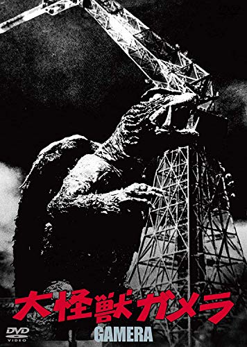 šå û THE BEST [DVD]