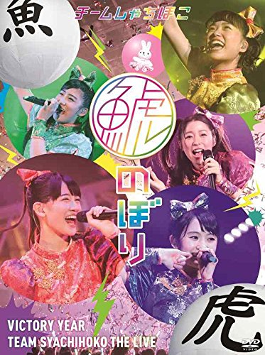 【中古】鯱のぼり at 幕張メッセイベントホール【2DVD】