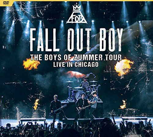 šThe Boys of Zummer Tour: Live in Chicago [DVD]