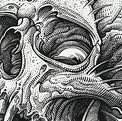 【中古】Chain Reaction(DVD付)