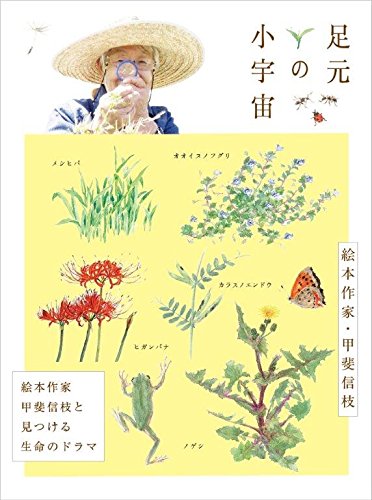 By Title: Ma Line - 【中古】足元の小宇宙 ~絵本作家・甲斐信枝と見つける生命のドラマ~ [DVD]