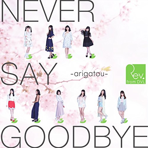 【中古】NEVER SAY GOODBYE ~arigatou~(Type-A)(DVD付)