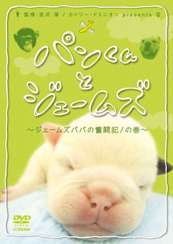 乐天商城 - 【中古】パンくんとジェームズ ~ジェームズパパの奮闘記!の巻~ [DVD]
