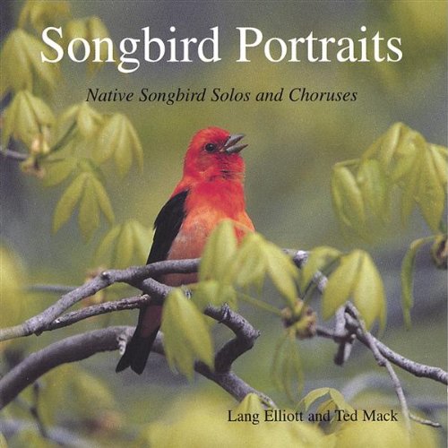 【中古】Songbird Portraits: Native Songbird Solos & Chorus