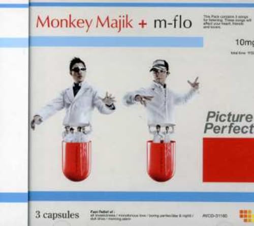 【中古】Picture Perfect