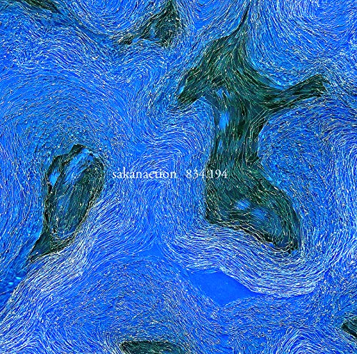 【中古】834.194 (通常盤[2CD])(応募抽選ハガキなし)