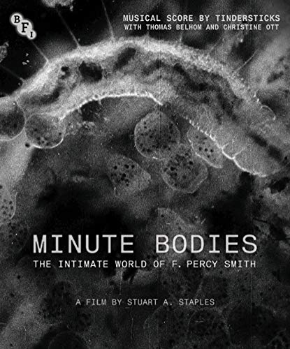 By Title: Ma Line - 【中古】Minute Bodies [Blu-ray]