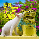 【中古】沖縄ユーモアソング決定盤(CD2枚組)