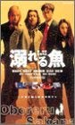 【中古】溺れる魚 [DVD]