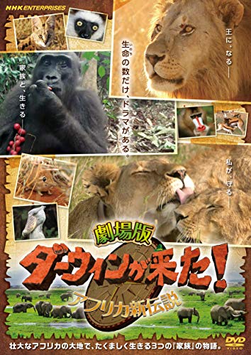 【中古】劇場版 ダーウィンが来た! アフリカ新伝説 [DVD]