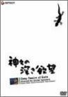 【中古】神々の深き欲望 [DVD]