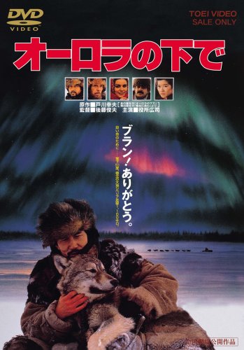 樂天商城 - 【中古】オーロラの下で [DVD]