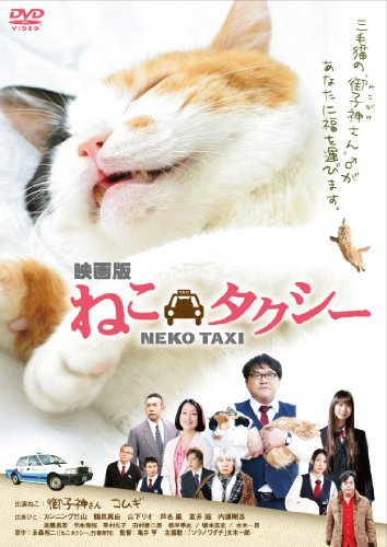 【中古】映画版 ねこタクシー DVD
