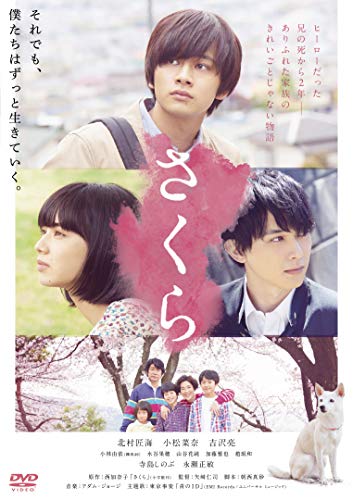 【中古】さくら 通常版 DVD