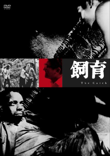 乐天商城 - 【中古】飼育 [DVD]