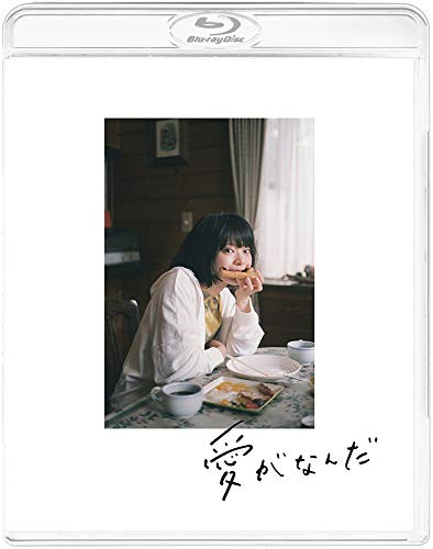 【中古】愛がなんだ　（特装限定版）