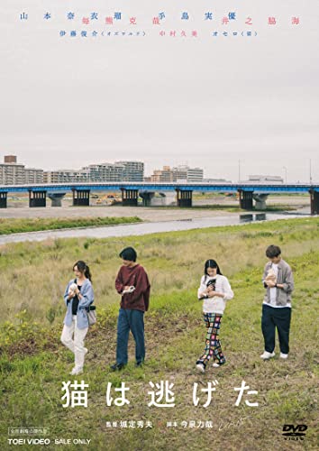 【中古】猫は逃げた [DVD]