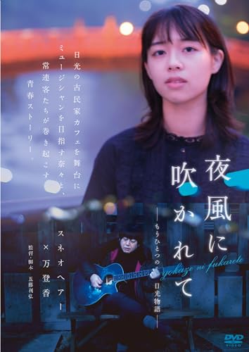 【中古】夜風に吹かれて-もうひとつの日光物語- [DVD]