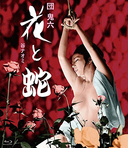【中古】花と蛇 [Blu-ray]