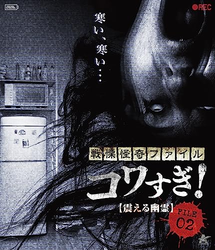 【中古】戦慄怪奇ファイル コワすぎ! FILE-02 震える幽霊【Blu-ray】