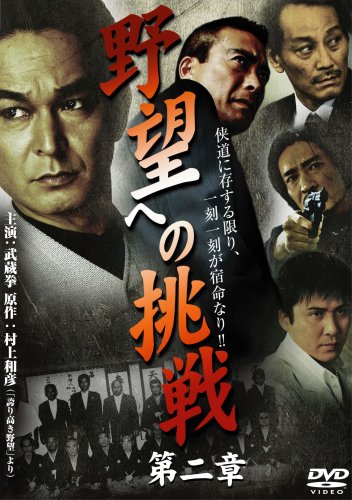 【中古】野望への挑戦 第二章 [DVD]