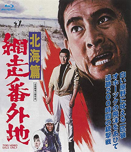 【中古】網走番外地 北海篇 [DVD]