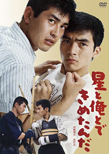 【中古】日活110年記念 ブルーレイ＆DVDシリーズ 20セレクション 星と俺とできめたんだ [DVD]