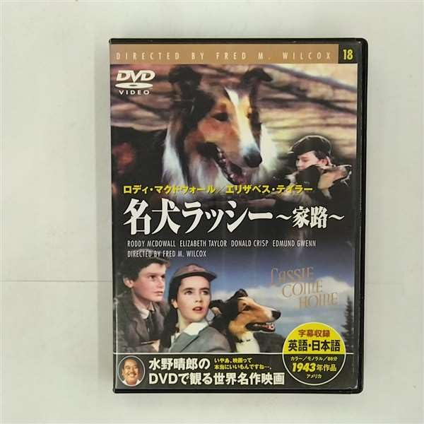 【中古】名犬ラツシー　家路