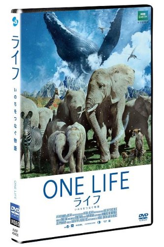 Other - 【中古】ライフ -いのちをつなぐ物語-　DVD　スタンダード・エディション