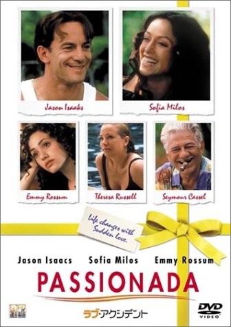 【中古】ラブ・アクシデント [DVD]