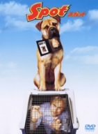 乐天商城 - 【中古】スポット [DVD]
