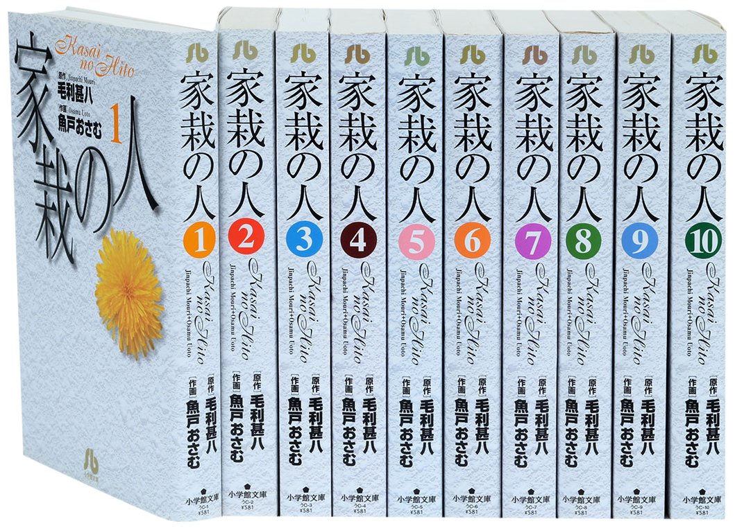 Sunday Gx C - 【中古】家裁の人 文庫版 コミック 全10巻完結セット (小学館文庫)