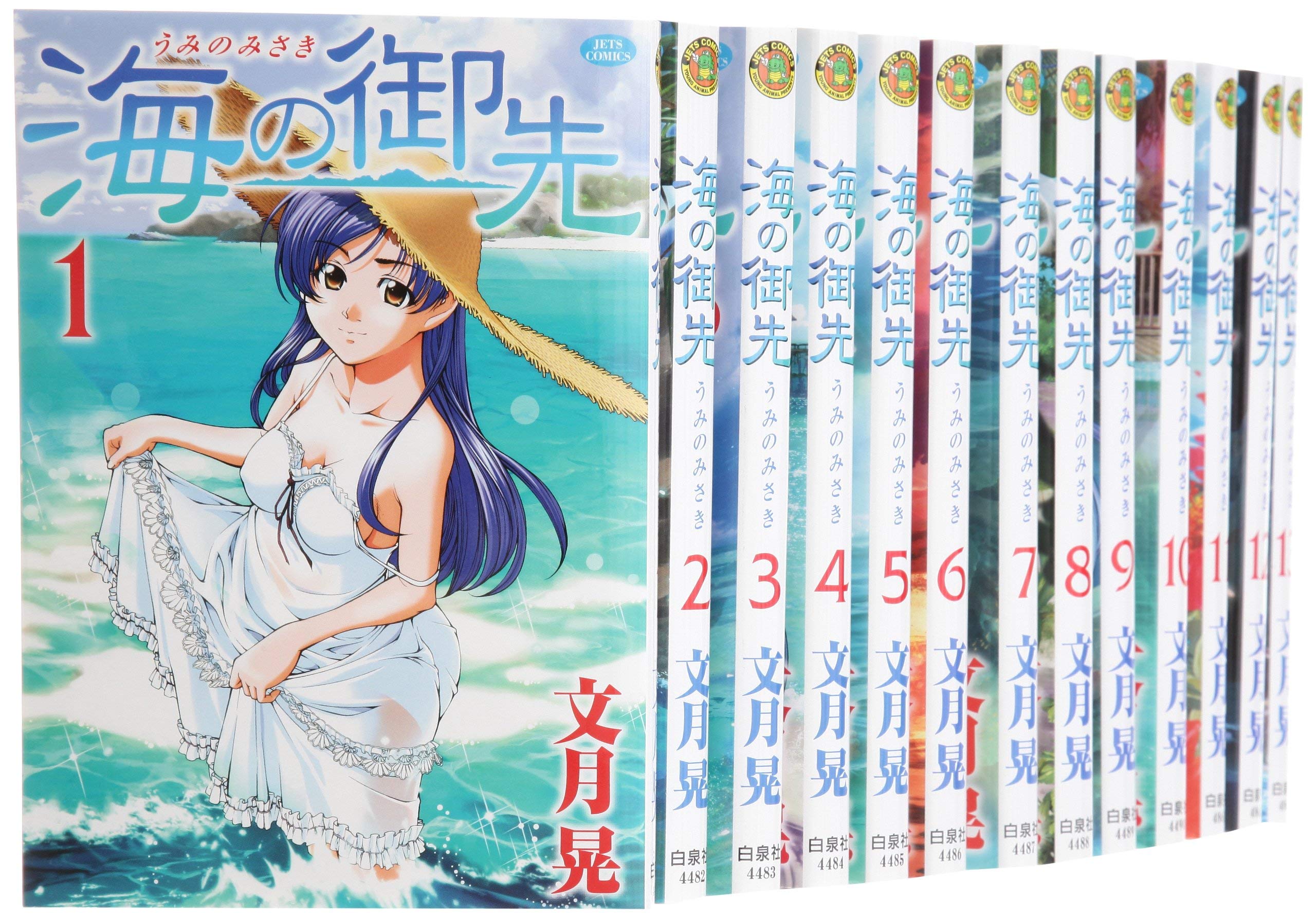 【中古】海の御先 コミックセット (ジェッツコミックス) [マーケットプレイスセット]